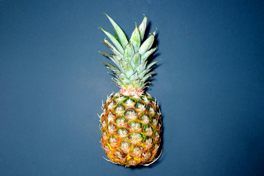 15 aliments super-hydratants à intégrer dans votre alimentation